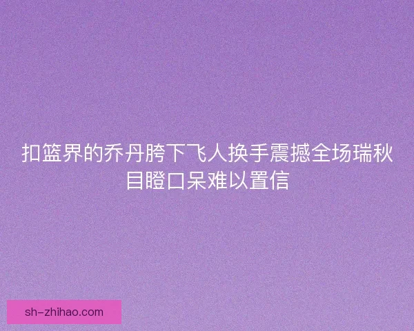 扣篮界的乔丹胯下飞人换手震撼全场瑞秋目瞪口呆难以置信
